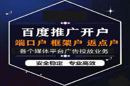 百度广告推广案例费用分析报告